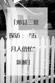 郏县三夏探访：“五月人倍忙”新解
