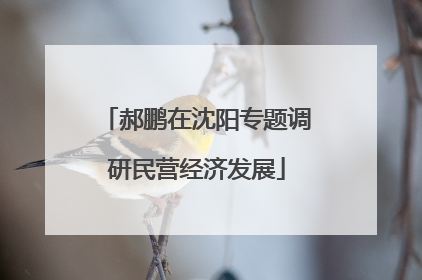 郝鹏在沈阳专题调研民营经济发展