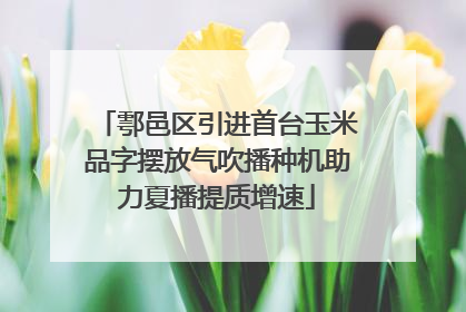 鄠邑区引进首台玉米品字摆放气吹播种机助力夏播提质增速