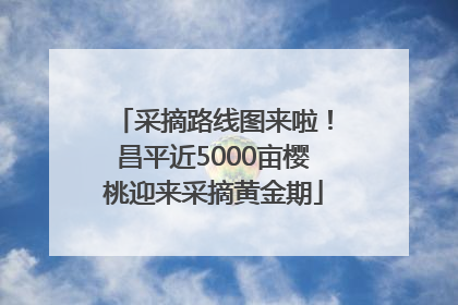 采摘路线图来啦！昌平近5000亩樱桃迎来采摘黄金期