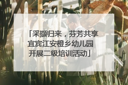 采撷归来，芬芳共享 宜宾江安橙乡幼儿园开展二级培训活动
