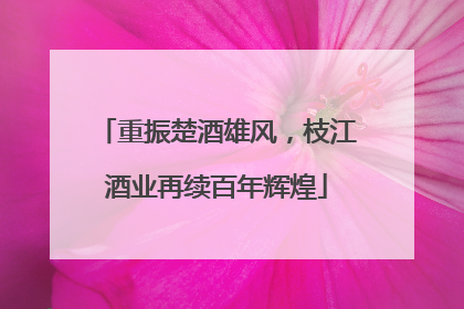 重振楚酒雄风，枝江酒业再续百年辉煌