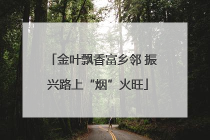 金叶飘香富乡邻 振兴路上“烟”火旺