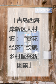青岛西海岸新区大村镇：“赏花经济”绘就乡村振兴新图景
