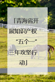 青海省开展知识产权“五个一”三年攻坚行动