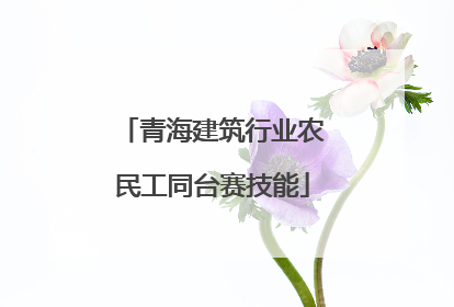 青海建筑行业农民工同台赛技能