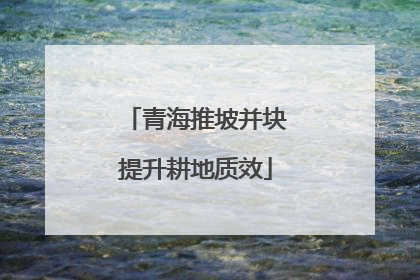 青海推坡并块提升耕地质效