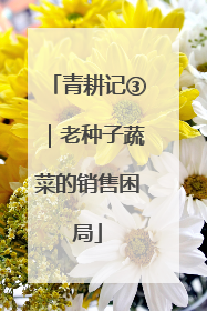 青耕记③｜老种子蔬菜的销售困局
