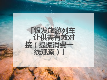 银发旅游列车，让供需有效对接（提振消费一线观察）