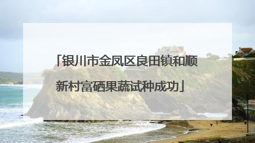 银川市金凤区良田镇和顺新村富硒果蔬试种成功