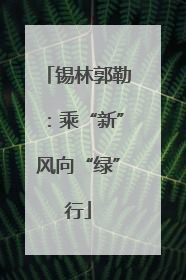 锡林郭勒：乘“新”风向“绿”行