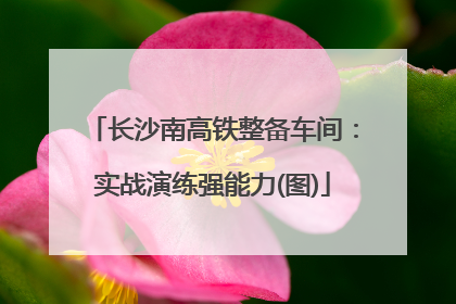 长沙南高铁整备车间：实战演练强能力(图)