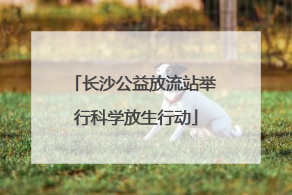 长沙公益放流站举行科学放生行动