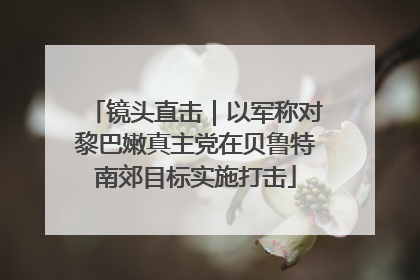 镜头直击｜以军称对黎巴嫩真主党在贝鲁特南郊目标实施打击