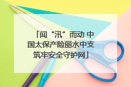 闻“汛”而动 中国太保产险丽水中支筑牢安全守护网