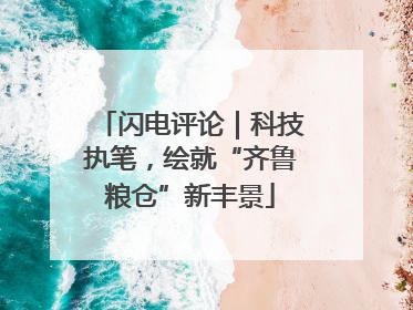 闪电评论｜科技执笔，绘就“齐鲁粮仓”新丰景
