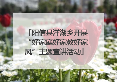 阳信县洋湖乡开展“好家庭好家教好家风”主题宣讲活动