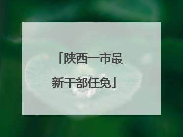 陕西一市最新干部任免
