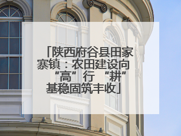 陕西府谷县田家寨镇：农田建设向“高”行 “耕”基稳固筑丰收