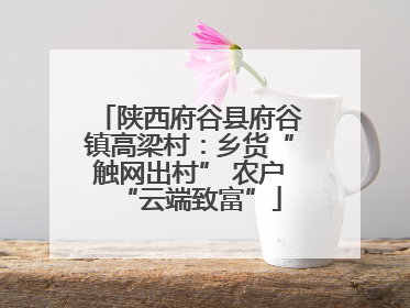 陕西府谷县府谷镇高梁村：乡货“触网出村” 农户“云端致富”