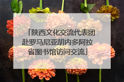 陕西文化交流代表团赴罗马尼亚胡内多阿拉省图书馆访问交流