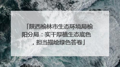 陕西榆林市生态环境局榆阳分局：实干厚植生态底色，担当描绘绿色答卷