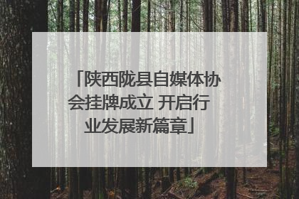 陕西陇县自媒体协会挂牌成立 开启行业发展新篇章