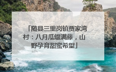 随县三里岗镇贾家湾村：八月瓜缀满藤，山野孕育甜蜜希望