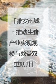 雅安雨城：推动生猪产业实现规模与效益双重跃升