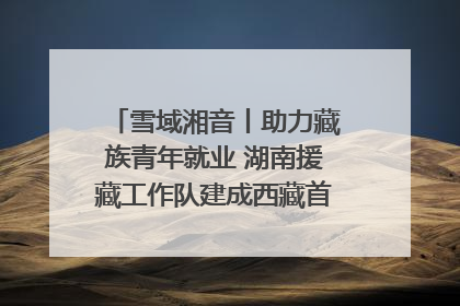 雪域湘音丨助力藏族青年就业 湖南援藏工作队建成西藏首个清洁能源装备园