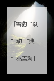 雪豹“跃”动 “典”亮青海