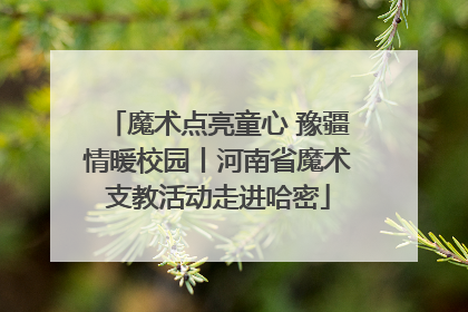 魔术点亮童心 豫疆情暖校园丨河南省魔术支教活动走进哈密
