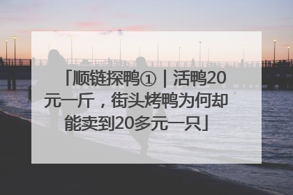 顺链探鸭①｜活鸭20元一斤，街头烤鸭为何却能卖到20多元一只