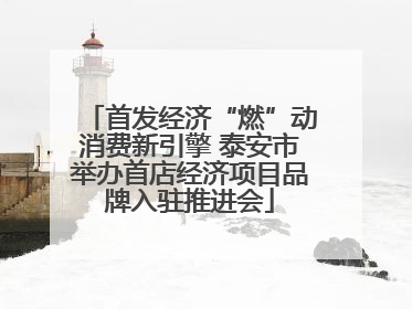 首发经济“燃”动消费新引擎 泰安市举办首店经济项目品牌入驻推进会