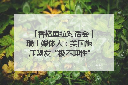 香格里拉对话会｜瑞士媒体人：美国施压盟友“极不理性” 欧洲国家无意与中国“脱钩断链”
