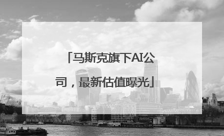 马斯克旗下AI公司，最新估值曝光