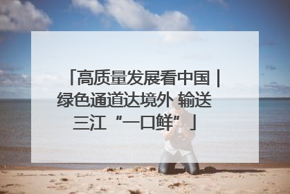高质量发展看中国｜绿色通道达境外 输送三江“一口鲜”