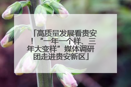 高质量发展看贵安！“一年一个样、三年大变样”媒体调研团走进贵安新区