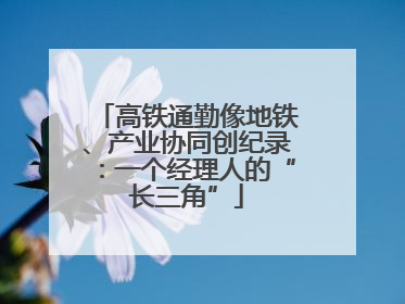 高铁通勤像地铁、产业协同创纪录：一个经理人的“长三角”