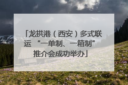 龙拱港（西安）多式联运 “一单制、一箱制” 推介会成功举办