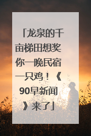 龙泉的千亩梯田想奖你一晚民宿一只鸡！《90早新闻》来了