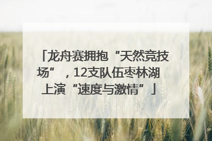 龙舟赛拥抱“天然竞技场”，12支队伍枣林湖上演“速度与激情”