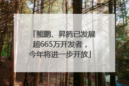鲲鹏、昇腾已发展超665万开发者，今年将进一步开放