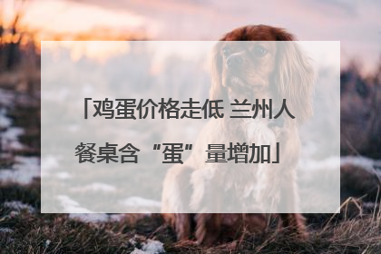 鸡蛋价格走低 兰州人餐桌含“蛋”量增加