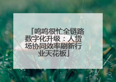 鸣鸣很忙全链路数字化升级：人货场协同效率刷新行业天花板