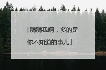 鹮鹮我啊，多的是你不知道的事儿