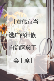 黄伟京当选广西壮族自治区总工会主席