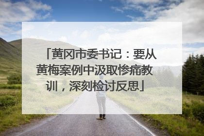 黄冈市委书记：要从黄梅案例中汲取惨痛教训，深刻检讨反思