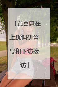 黄喜忠在上犹调研督导和下访接访