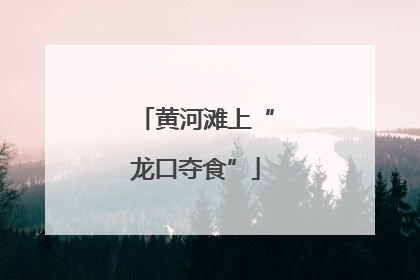 黄河滩上“龙口夺食”